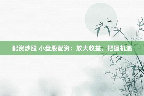 配资炒股 小盘股配资：放大收益，把握机遇