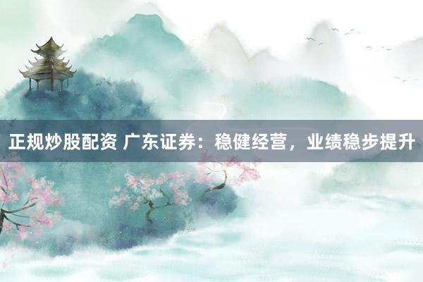 正规炒股配资 广东证券：稳健经营，业绩稳步提升