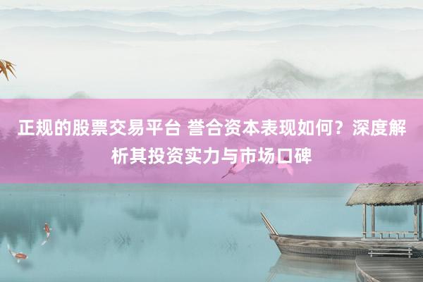 正规的股票交易平台 誉合资本表现如何？深度解析其投资实力与市场口碑
