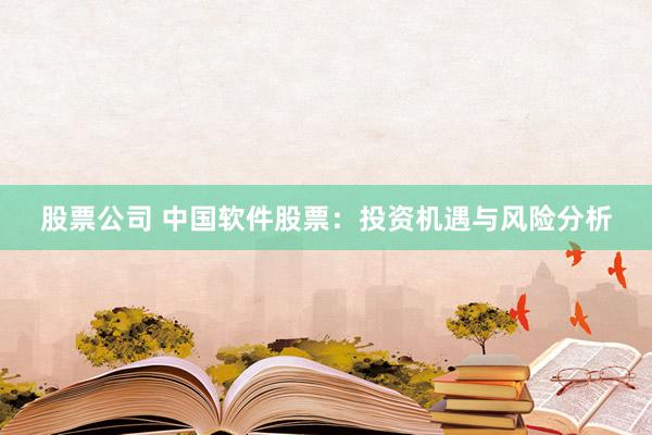 股票公司 中国软件股票：投资机遇与风险分析