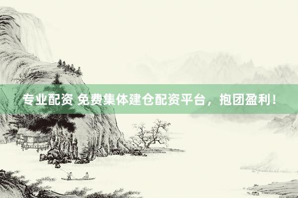 专业配资 免费集体建仓配资平台，抱团盈利！