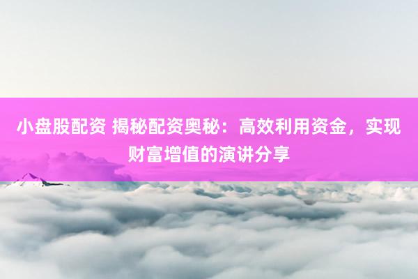 小盘股配资 揭秘配资奥秘：高效利用资金，实现财富增值的演讲分享