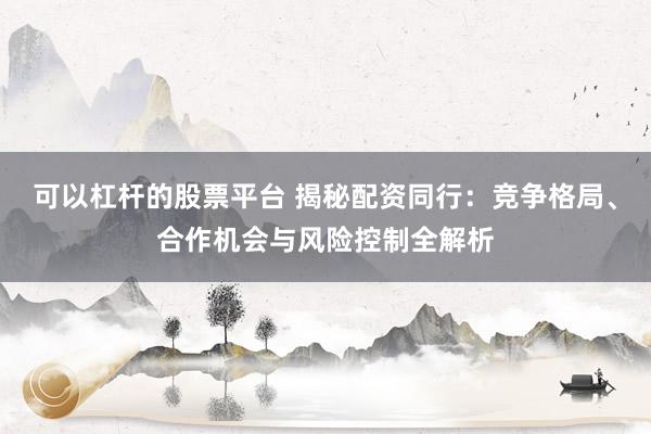 可以杠杆的股票平台 揭秘配资同行：竞争格局、合作机会与风险控制全解析