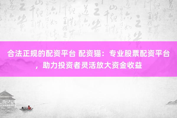 合法正规的配资平台 配资猫：专业股票配资平台，助力投资者灵活放大资金收益