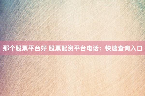 那个股票平台好 股票配资平台电话：快速查询入口