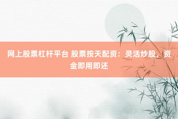 网上股票杠杆平台 股票按天配资：灵活炒股，资金即用即还