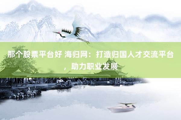那个股票平台好 海归网：打造归国人才交流平台，助力职业发展