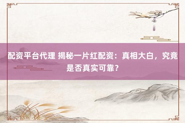 配资平台代理 揭秘一片红配资：真相大白，究竟是否真实可靠？