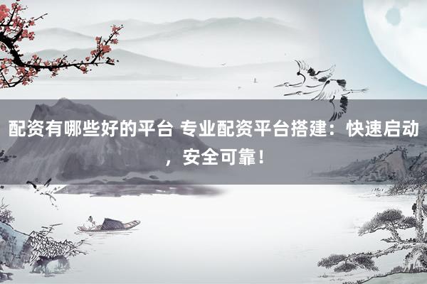 配资有哪些好的平台 专业配资平台搭建：快速启动，安全可靠！
