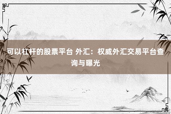 可以杠杆的股票平台 外汇：权威外汇交易平台查询与曝光