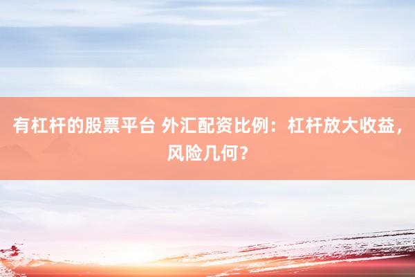 有杠杆的股票平台 外汇配资比例：杠杆放大收益，风险几何？