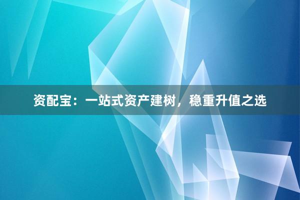 资配宝：一站式资产建树，稳重升值之选