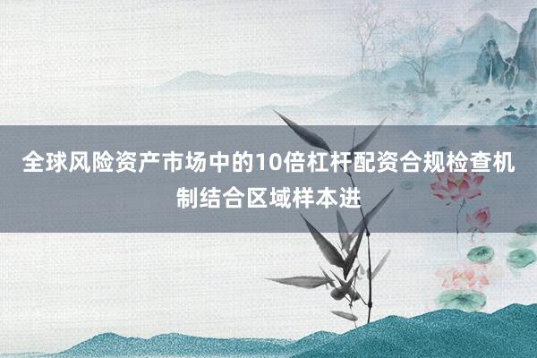 全球风险资产市场中的10倍杠杆配资合规检查机制结合区域样本进