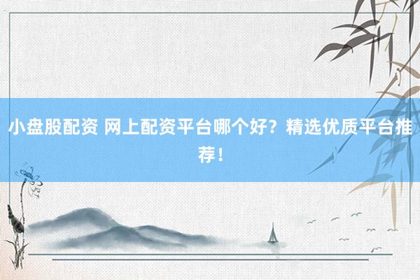 小盘股配资 网上配资平台哪个好?精选优质平台推荐!