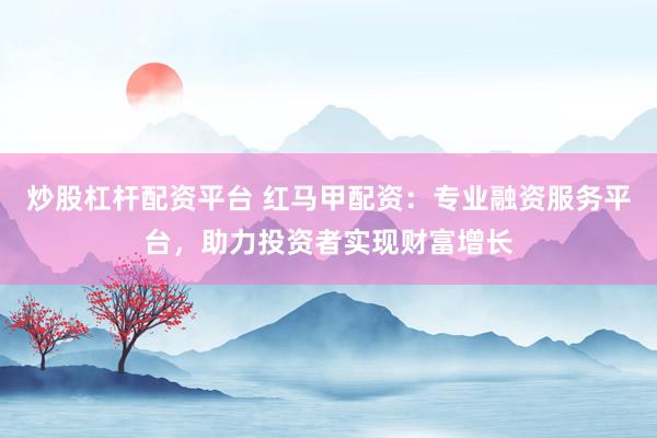 炒股杠杆配资平台 红马甲配资：专业融资服务平台，助力投资者实现财富增长