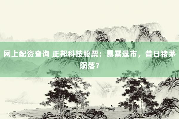 网上配资查询 正邦科技股票：暴雷退市，昔日猪茅陨落？