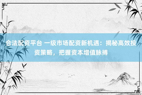 合法配资平台 一级市场配资新机遇：揭秘高效投资策略，把握资本增值脉搏