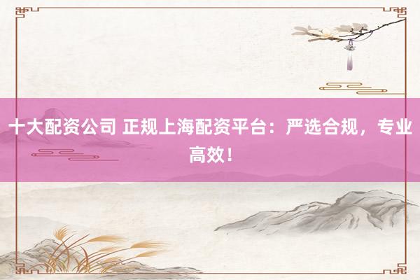 十大配资公司 正规上海配资平台：严选合规，专业高效！